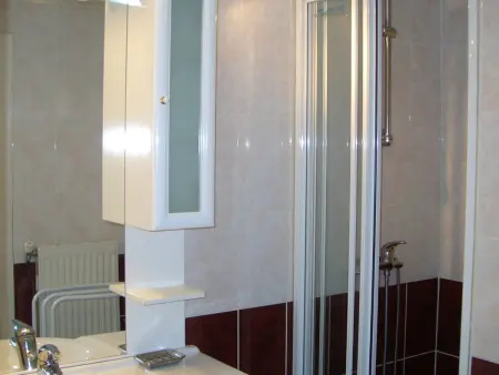 Appartement chalet 2 chambres 6 personnes aux Carroz : photo 6