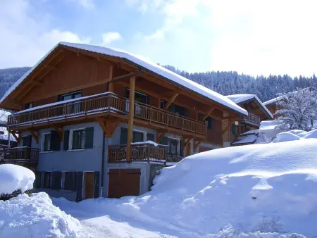 Appartement chalet 2 chambres 6 personnes aux Carroz : photo 9