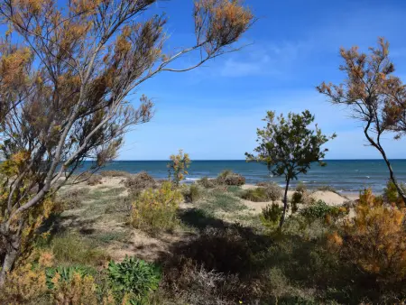 Appartement 4 pers., 200 m plage, piscine, animaux OK : photo 22