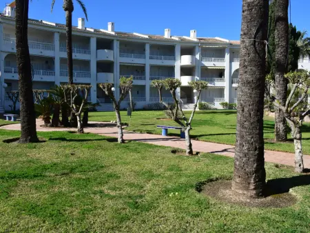 Appartement 76m² près de la plage à Oliva Nova : photo 22