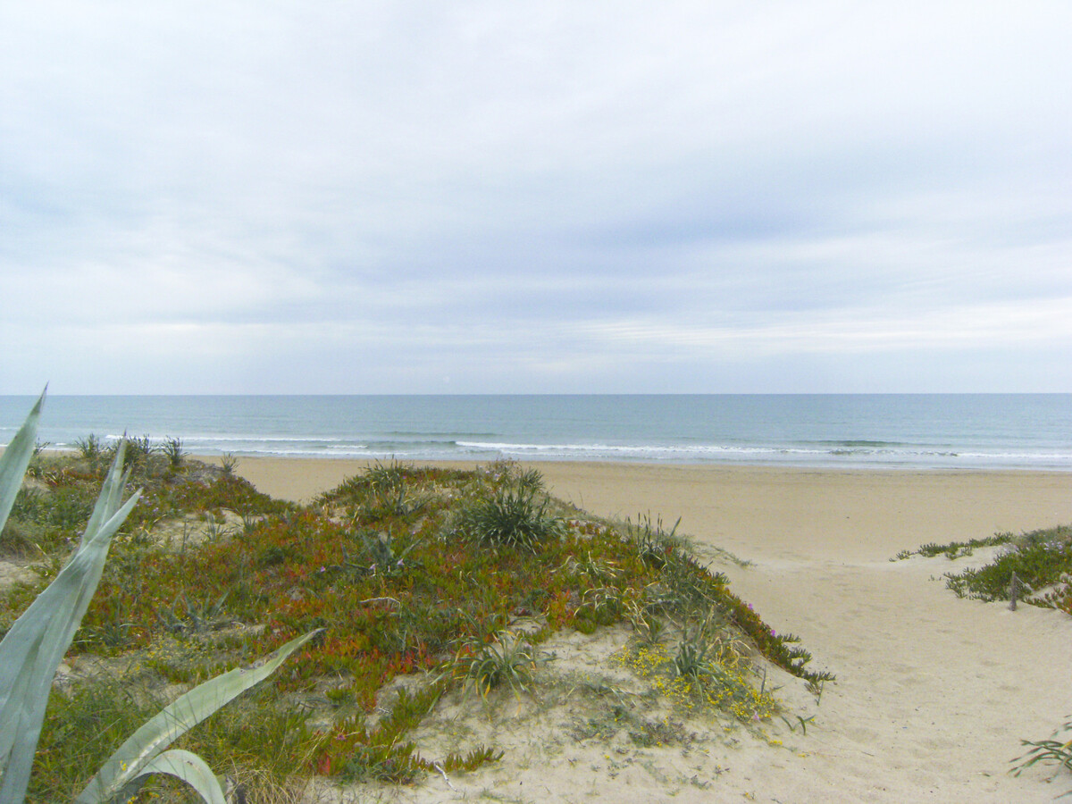 Maison 4 chambres à 25m de la plage, animaux admis - Photo 3