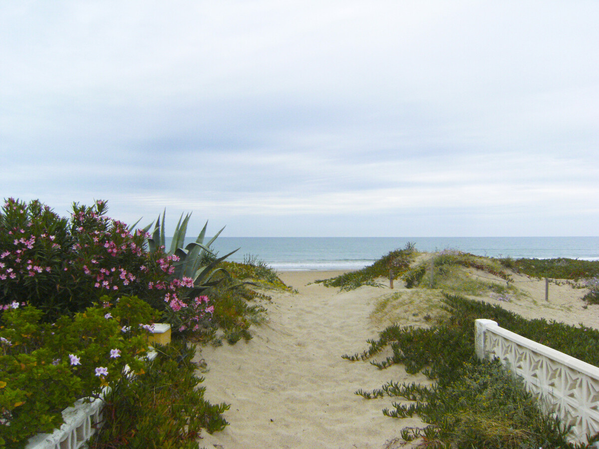 Maison 4 chambres à 25m de la plage, animaux admis - Photo 30