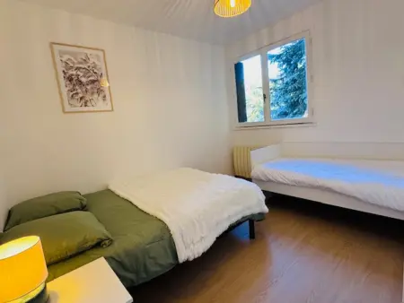 Appartement rénové 6 pers, pistes à 100 m, Les Deux Alpes : photo 7