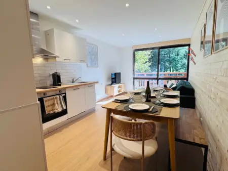 Appartement rénové 6 pers, pistes à 100 m, Les Deux Alpes : photo 10