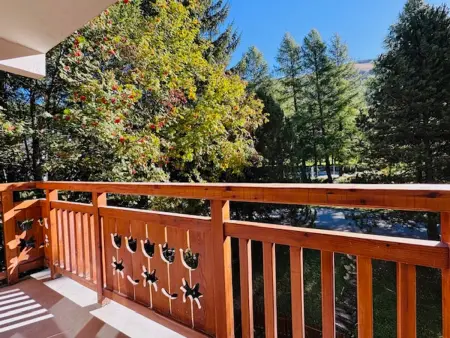 Appartement rénové 6 pers, pistes à 100 m, Les Deux Alpes : photo 16