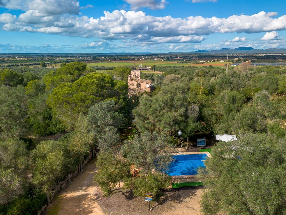 Sa Torreta, maison rustique 120 m² à Campos - Photo 27