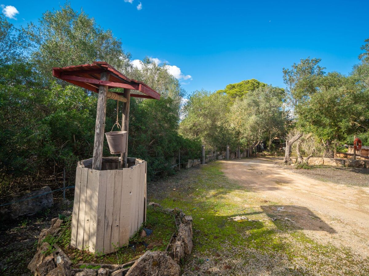 Sa Torreta, maison rustique 120 m² à Campos - Photo 30