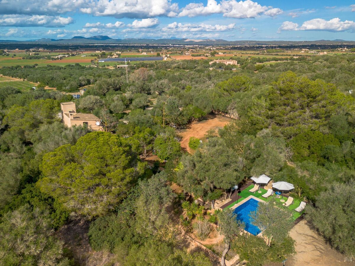 Sa Torreta, maison rustique 120 m² à Campos - Photo 32