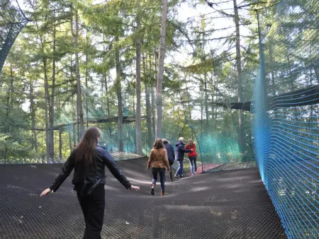 Longère 8 personnes avec jardin et maisonnette enfants : photo 29