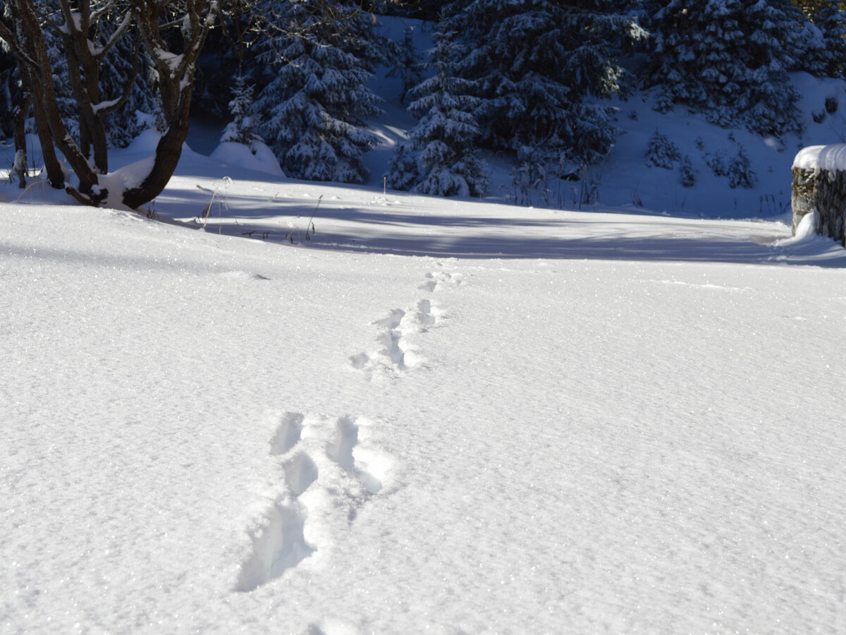 Studio 26m² rénové Courchevel 1850, skis aux pieds - Photo 16