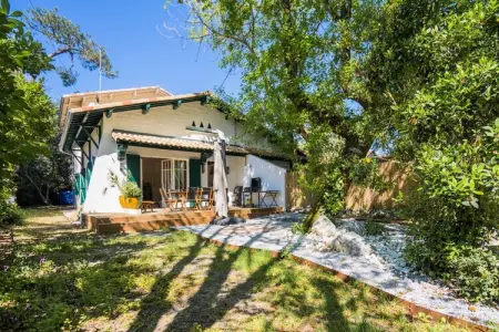 Location appartement à , Villa à Pyla près de la plage du bassin d'Arcachon