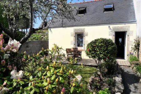 Location appartement à 