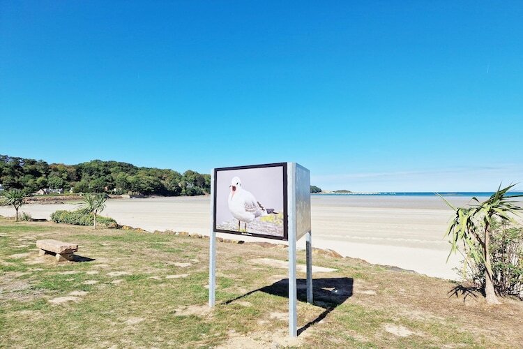Maison 4 pers. à 1 km de plage, Plougasnou - Photo 29