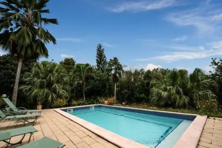 Location appartement à Grand Bourg