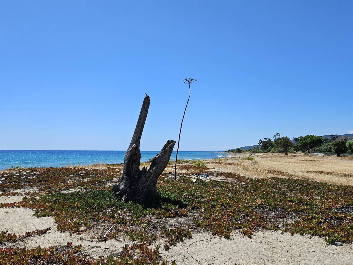 Villa Rundinelle, 6 pers, piscine et plage à 10mn - Photo 21