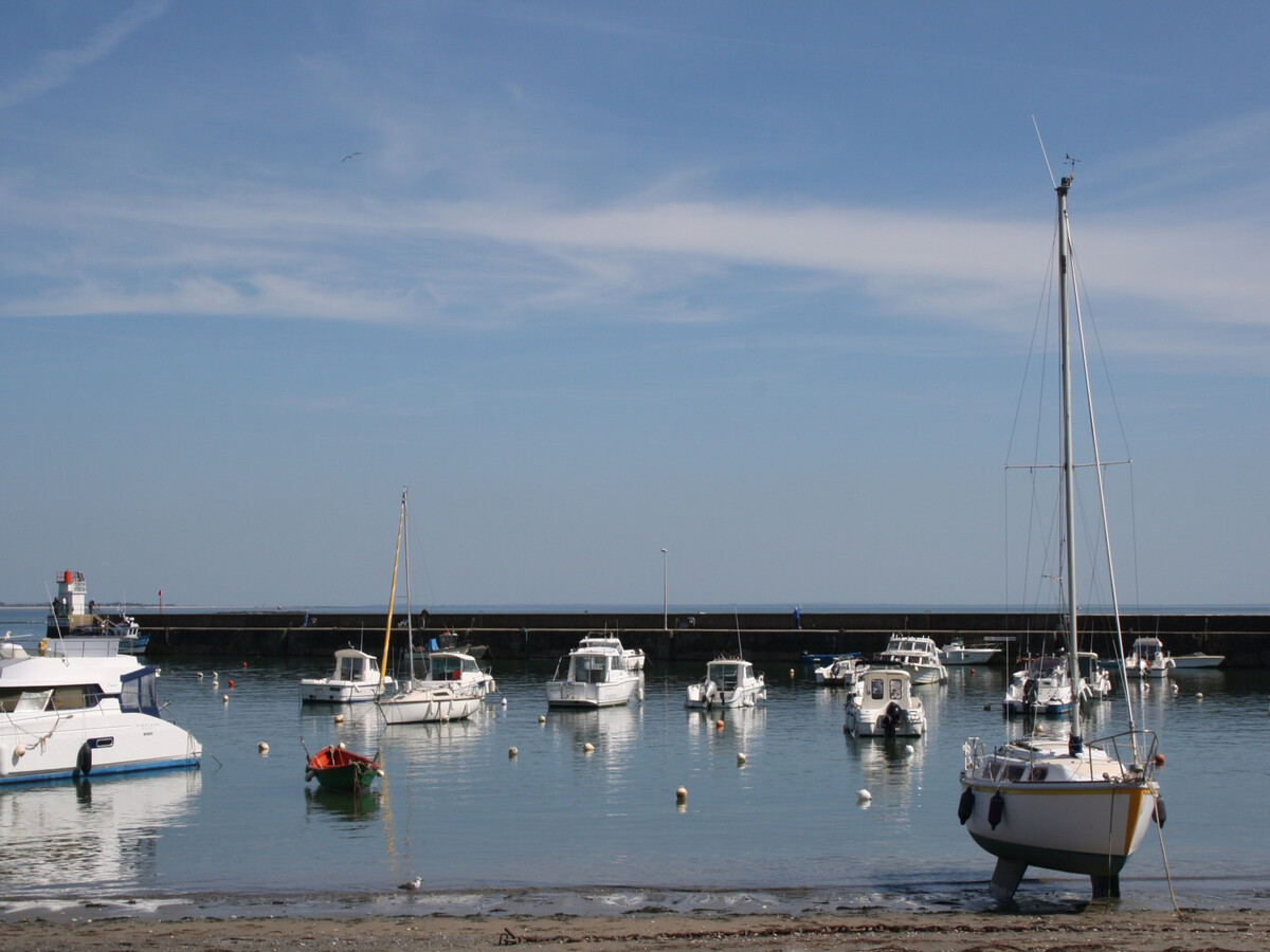 Maison 4 chambres Sarzeau, jardin 250 m², 550 m plage - Photo 28