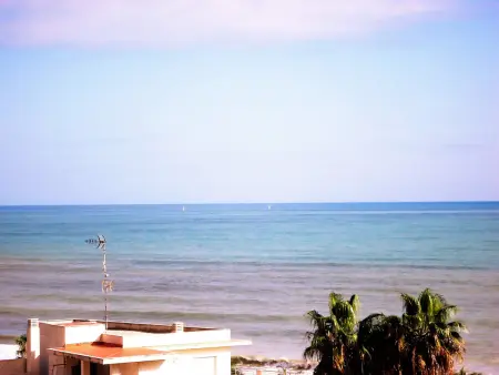 Appartement 2 ch. vue mer à 100 m de Playa Norte : photo 8