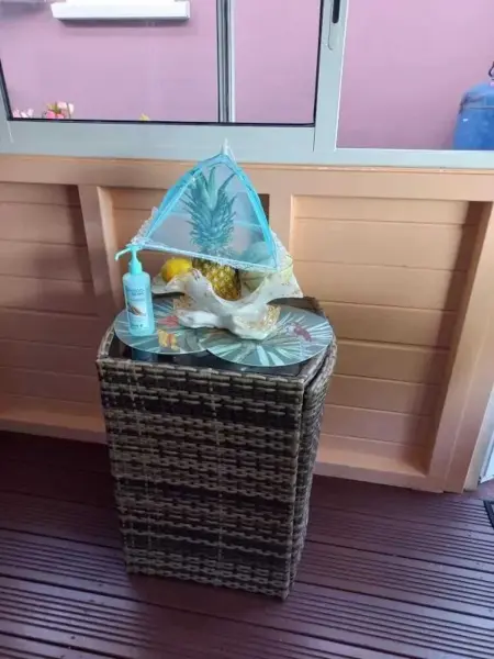 Appartement 45 m² avec piscine privée à Rivière-Pilote, Martinique : photo 7