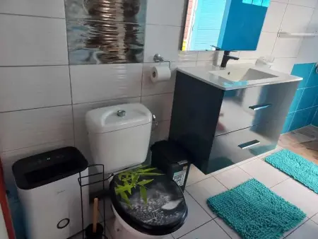 Appartement 45 m² avec piscine privée à Rivière-Pilote, Martinique : photo 22