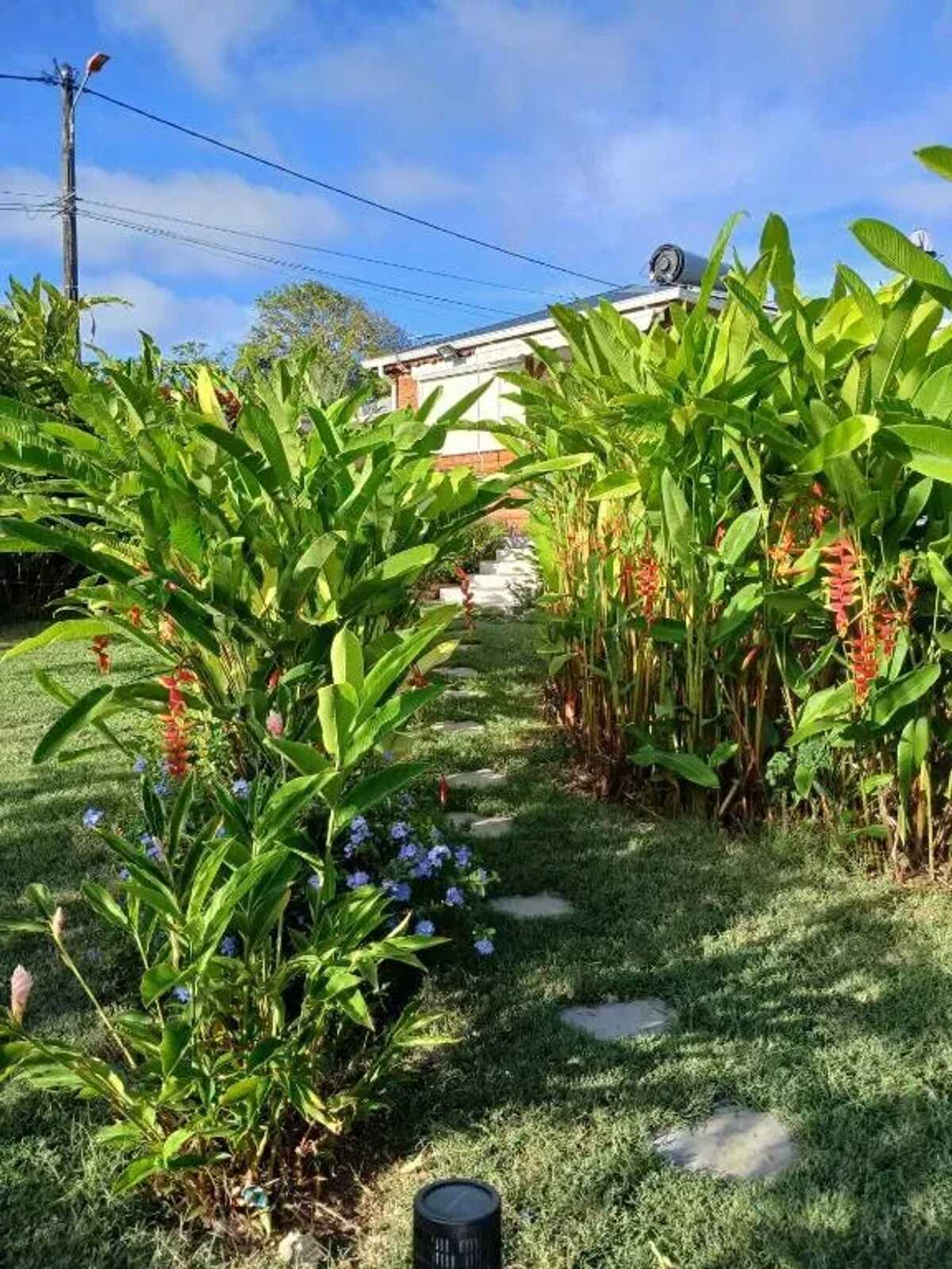 Bungalow 2★ avec piscine privée à Petit-Canal - Photo 14
