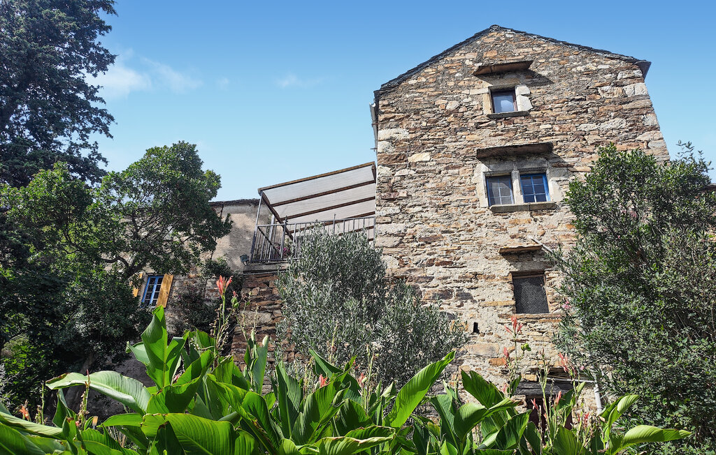 Maison de village du 17e siècle, 12 personnes, Saint-Vincent-d'Olargu - Photo 9