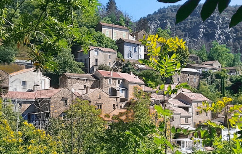 Maison de village du 17e siècle, 12 personnes, Saint-Vincent-d'Olargu - Photo 15