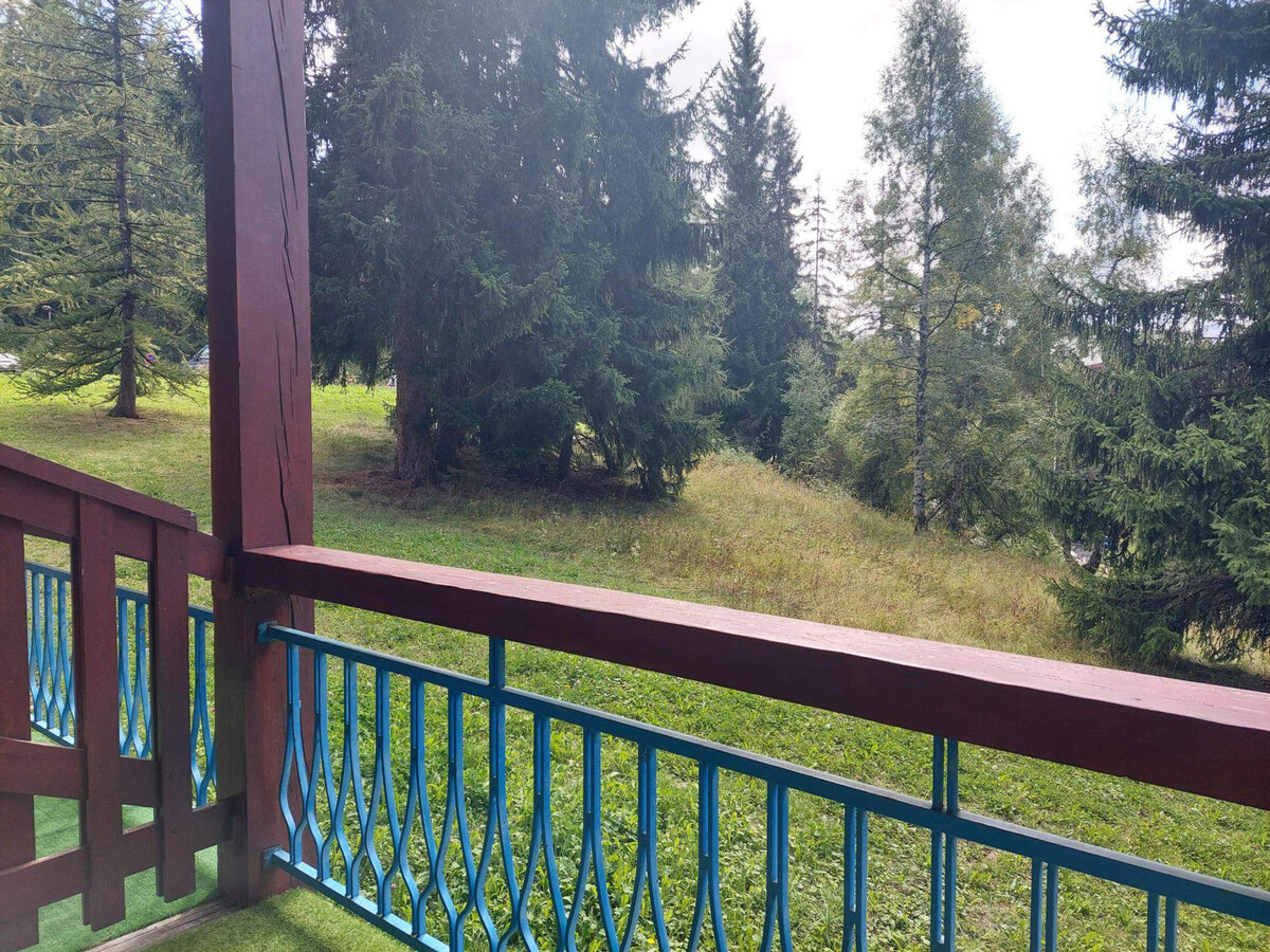 Duplex mezzanine 30m² balcon sud-ouest, retour skis - Photo 10