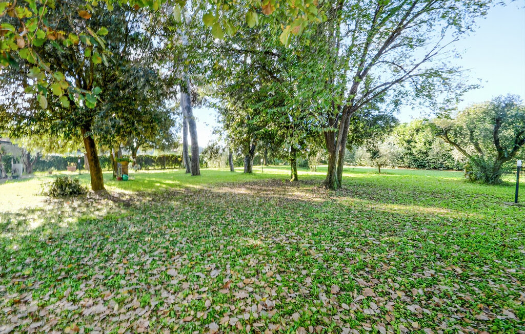 Villa Verde, Maison 5 personnes à Grosseto - Photo 15