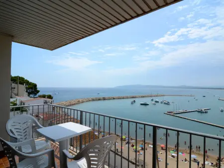 Appartement familial face au port à L'Estartit : photo 4