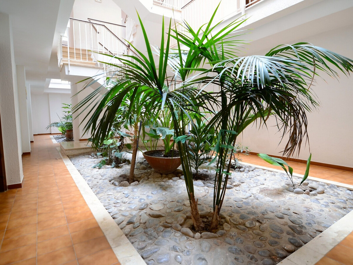 Studio 1 chambre L'Estartit, 400m plage, piscine - Photo 7