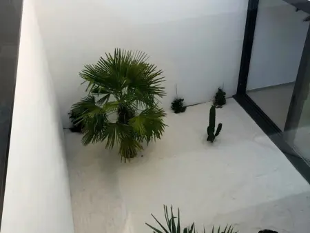 Villa contemporaine Mas Pinell, accès plage direct et piscine : photo 15