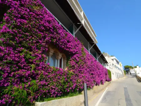 Appartement face au port à L'Estartit, piscine toit : photo 6