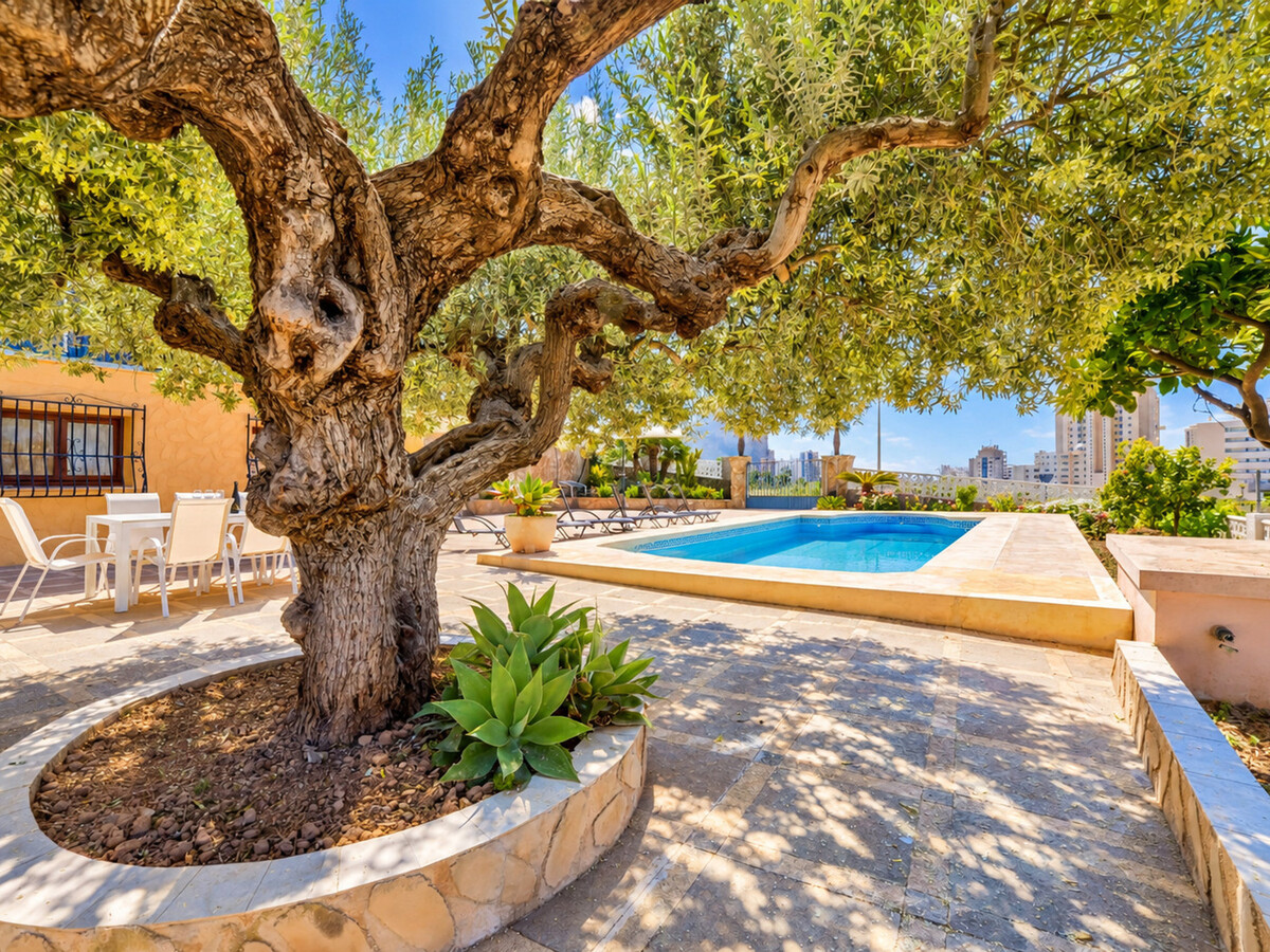 Villa 8 pers. à Calpe, piscine 8x4m, jardin clos - Photo 6