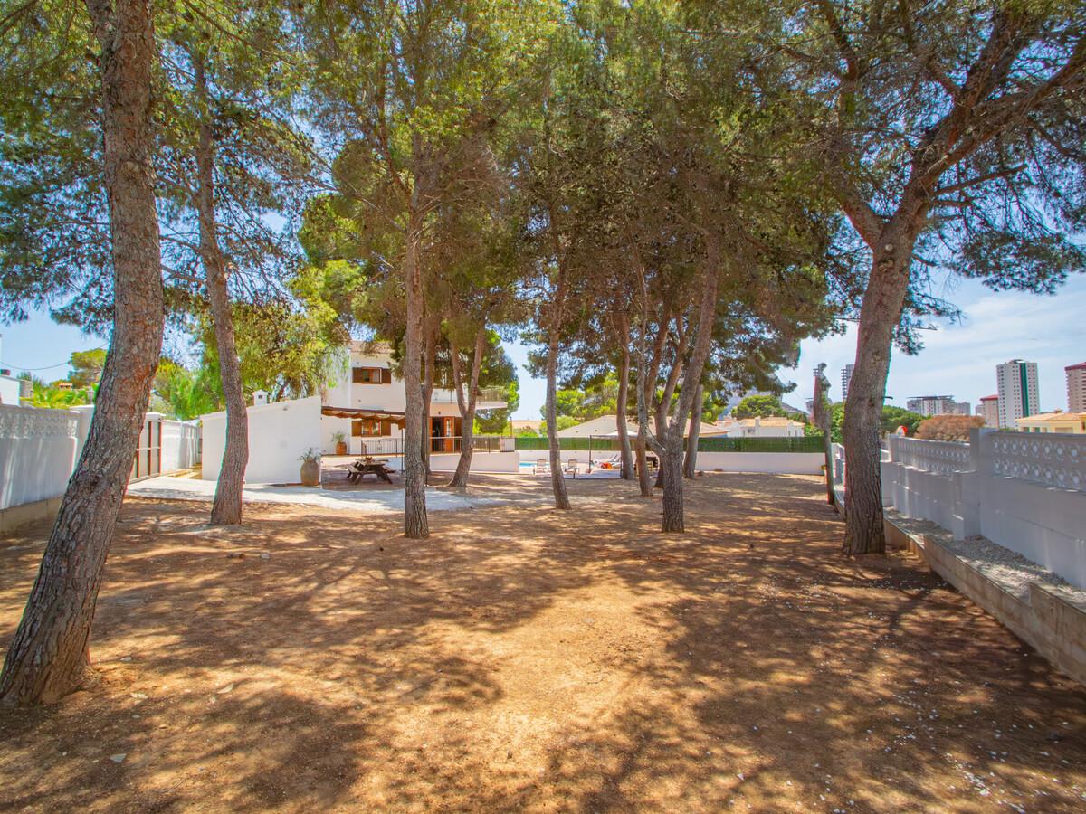 Villa 12 pers., 6 chambres, piscine 8x3,5m à Calpe - Photo 18