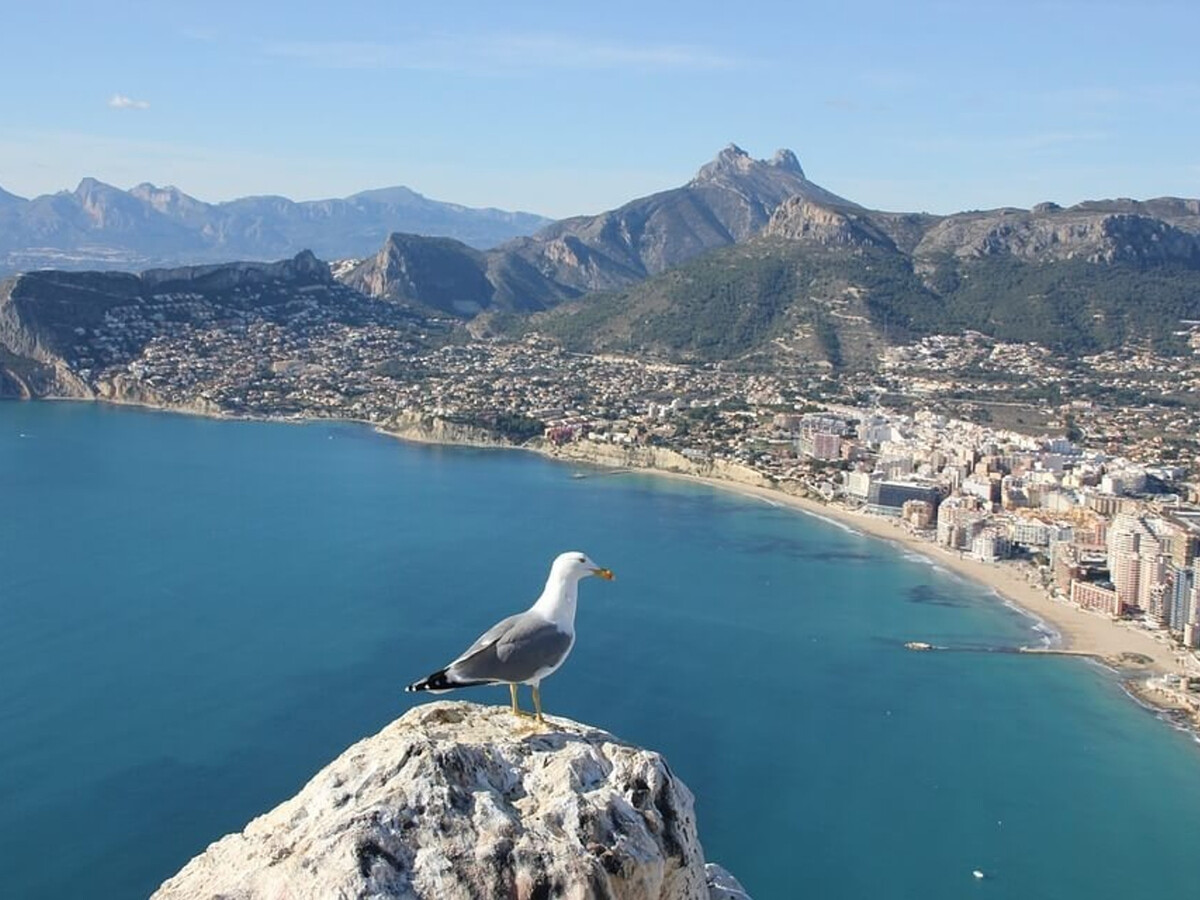 Villa Cactus à Calpe, piscine 7,5×4 m et vue mer - Photo 17