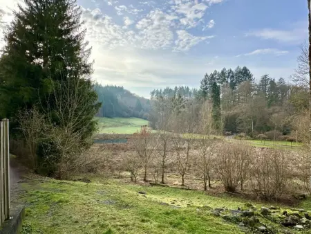 Gîte de Montaigle, maison face au château, Falaen : photo 43