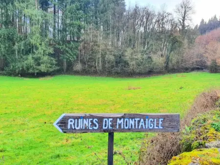 Gîte de Montaigle, maison face au château, Falaen : photo 44