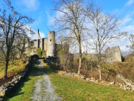 Gîte de Montaigle, maison face au château, Falaen : photo 45