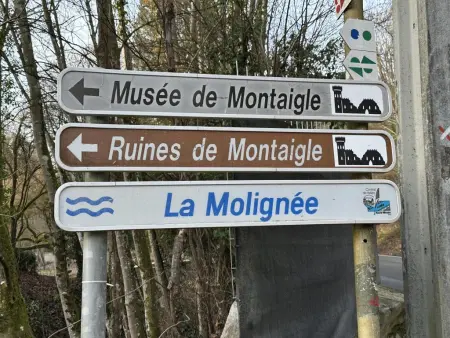 Gîte de Montaigle, maison face au château, Falaen : photo 51
