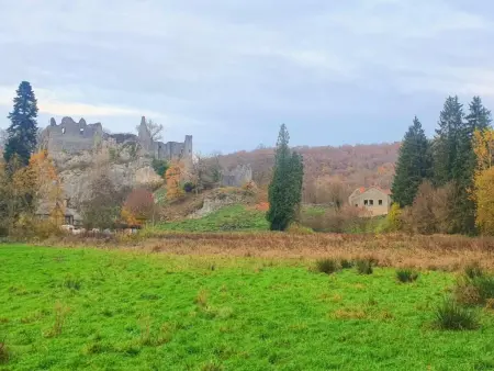 Gîte de Montaigle, maison face au château, Falaen : photo 52