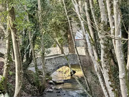 Gîte de Montaigle, maison face au château, Falaen : photo 53