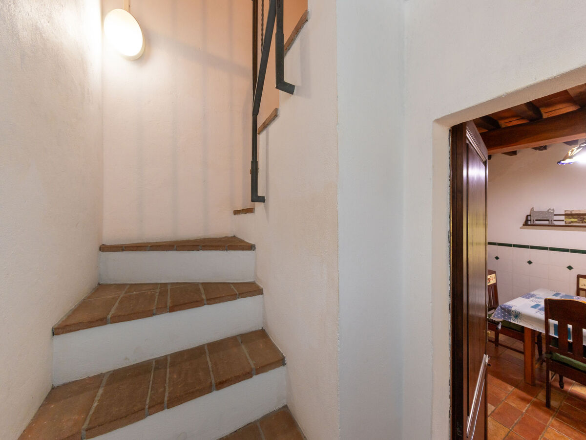 Viola, appartement 7 personnes à Campiglia Marittima - Photo 18