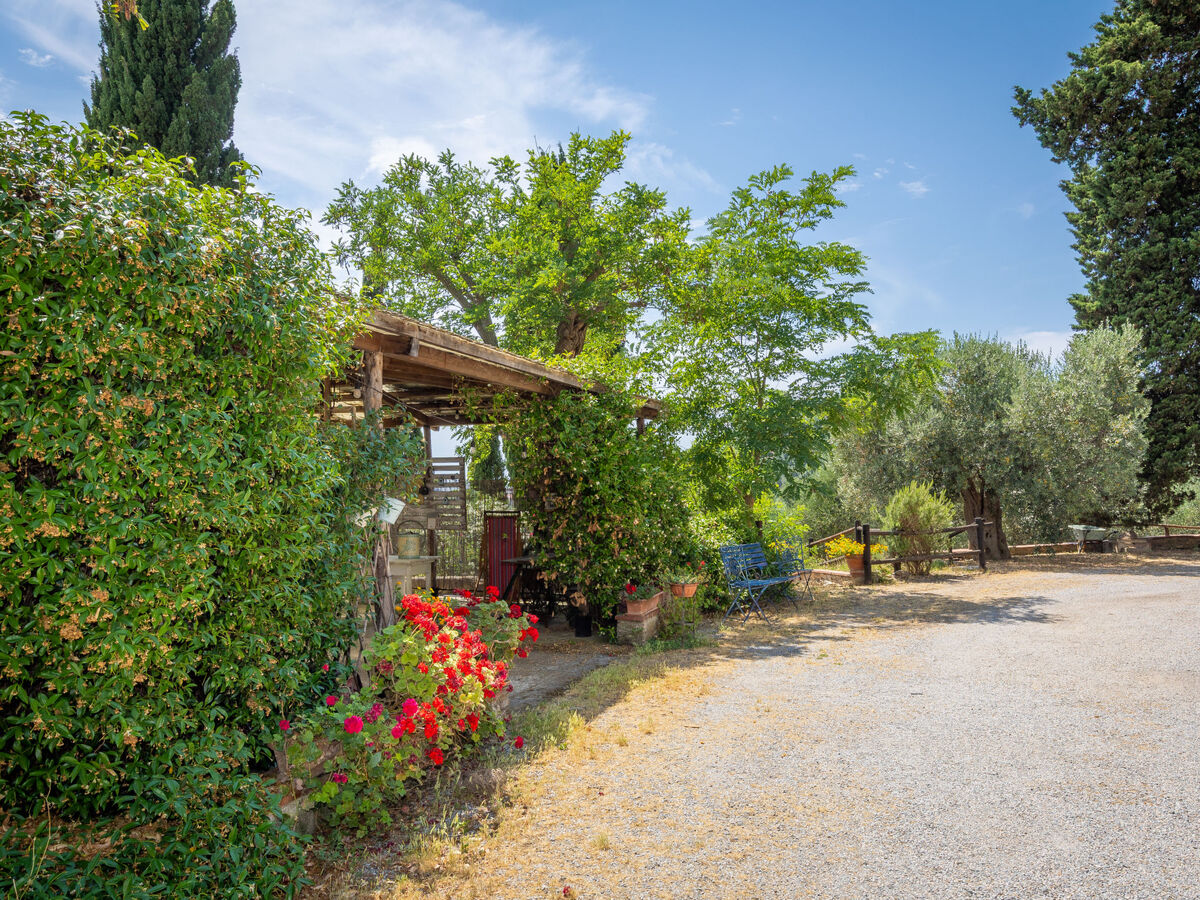 Viola, appartement 7 personnes à Campiglia Marittima - Photo 56