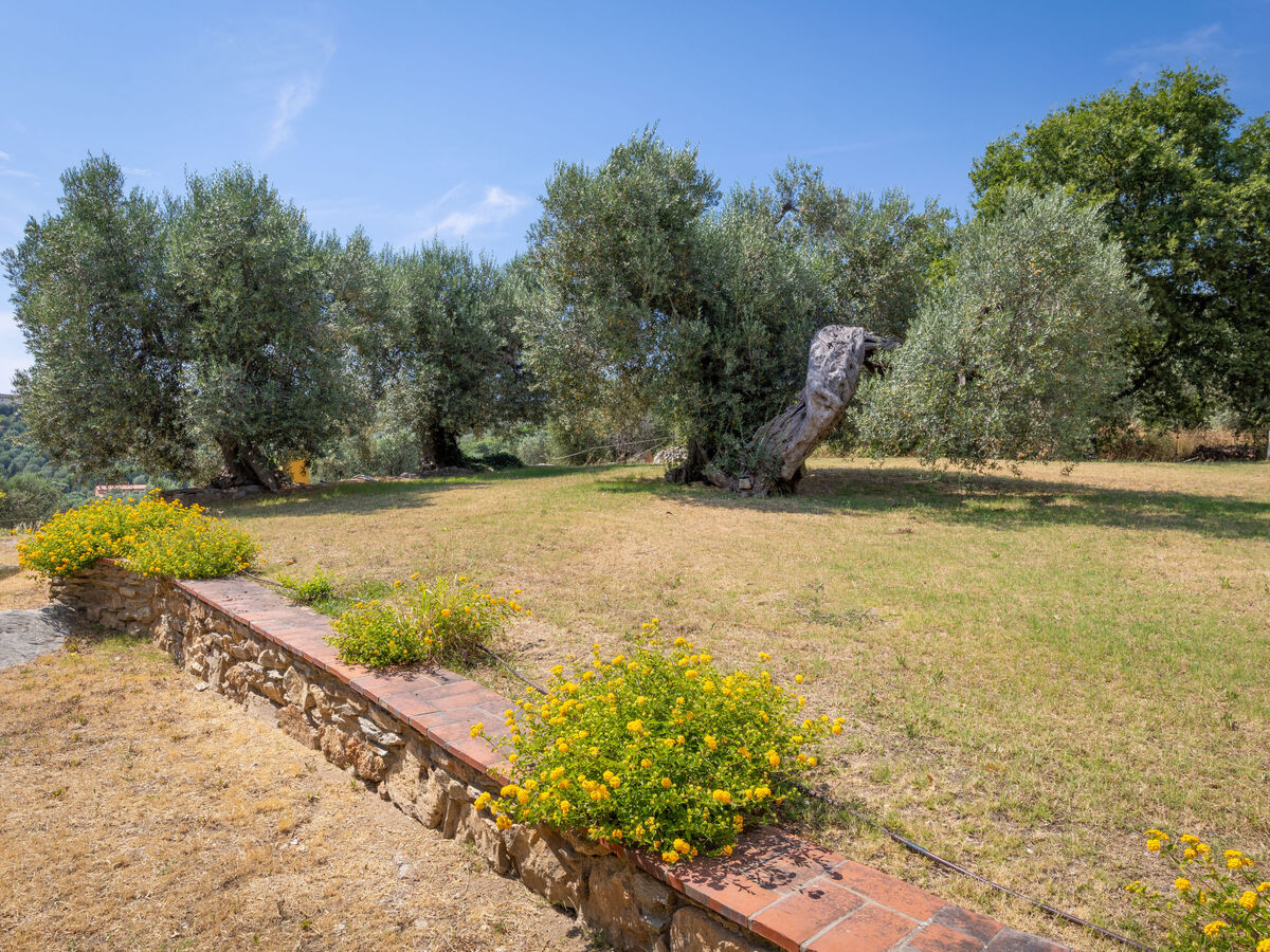 Viola, appartement 7 personnes à Campiglia Marittima - Photo 68