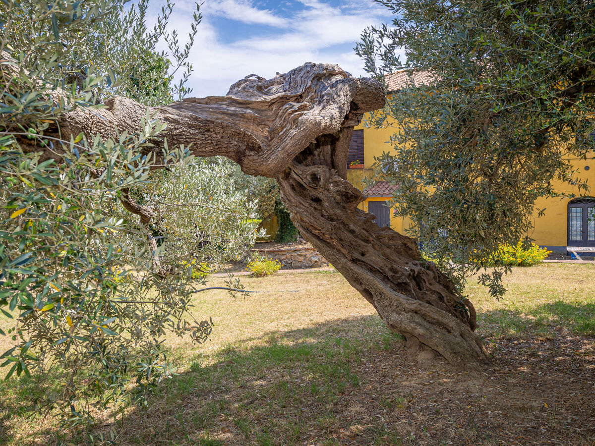 Iris – Studio 38 m² avec terrasse à Campiglia Marittima - Photo 67