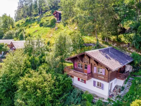 Location appartement de vacances à Fiesch