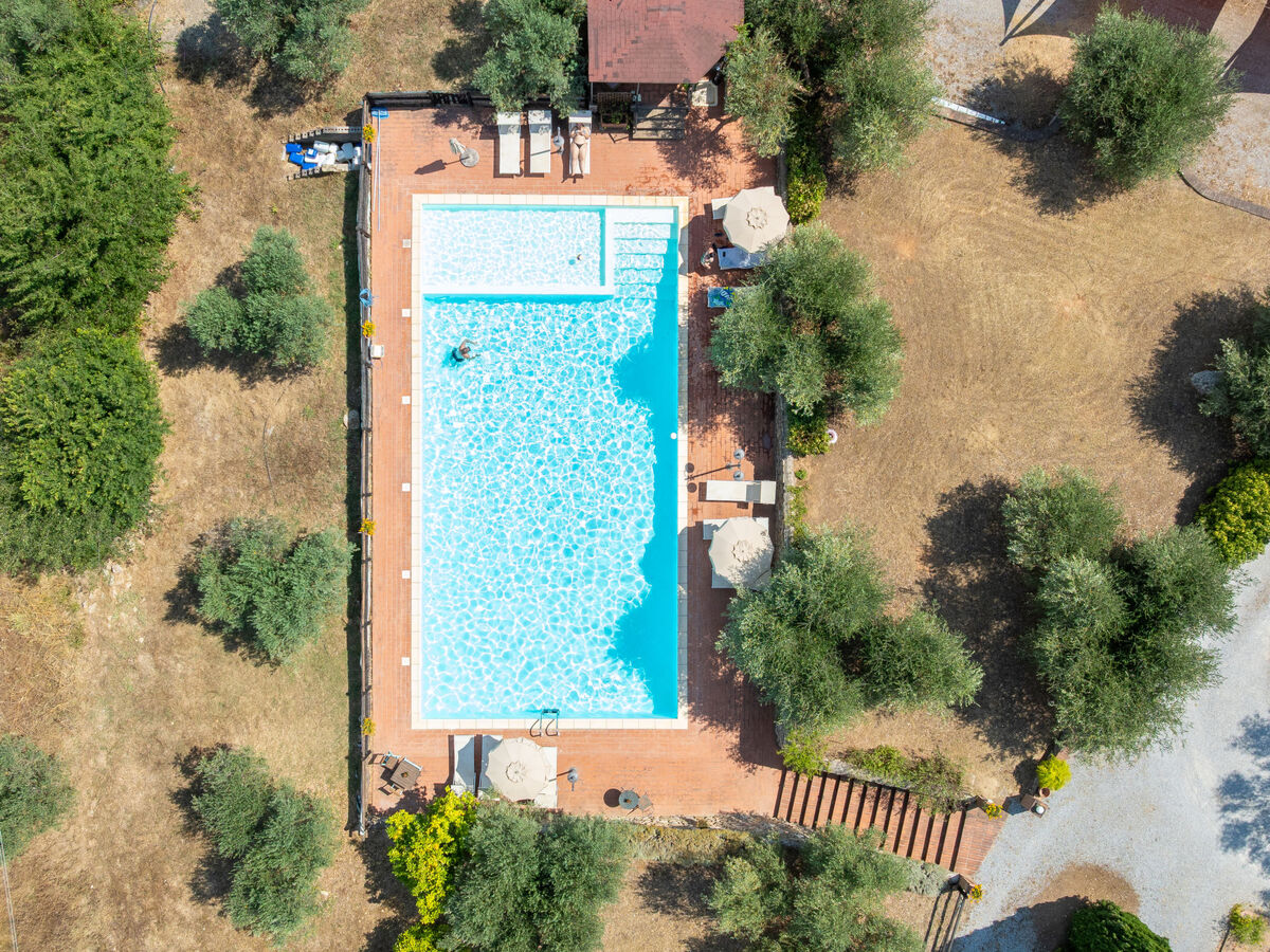 Appartement Erica à Campiglia Marittima, piscine - Photo 6
