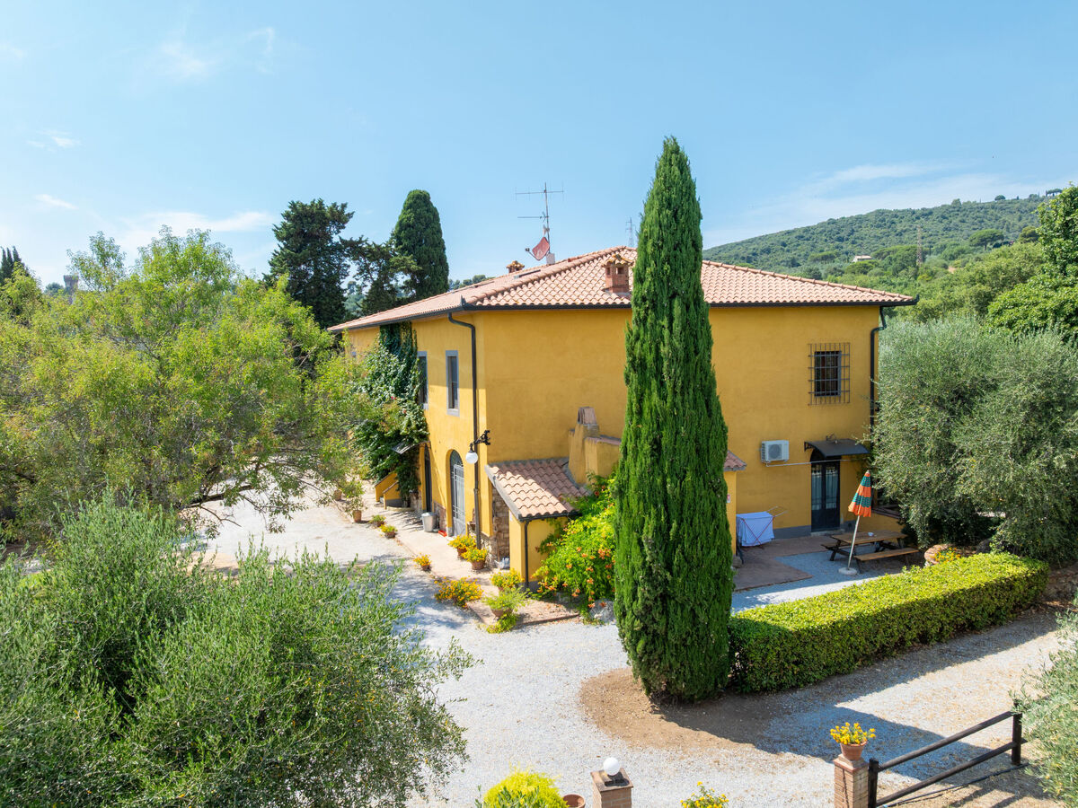 Appartement Erica à Campiglia Marittima, piscine - Photo 7