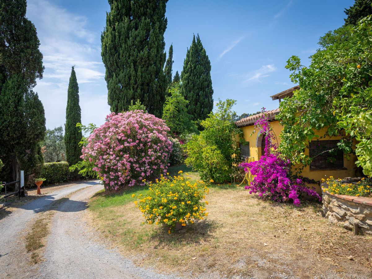 Appartement Erica à Campiglia Marittima, piscine - Photo 11