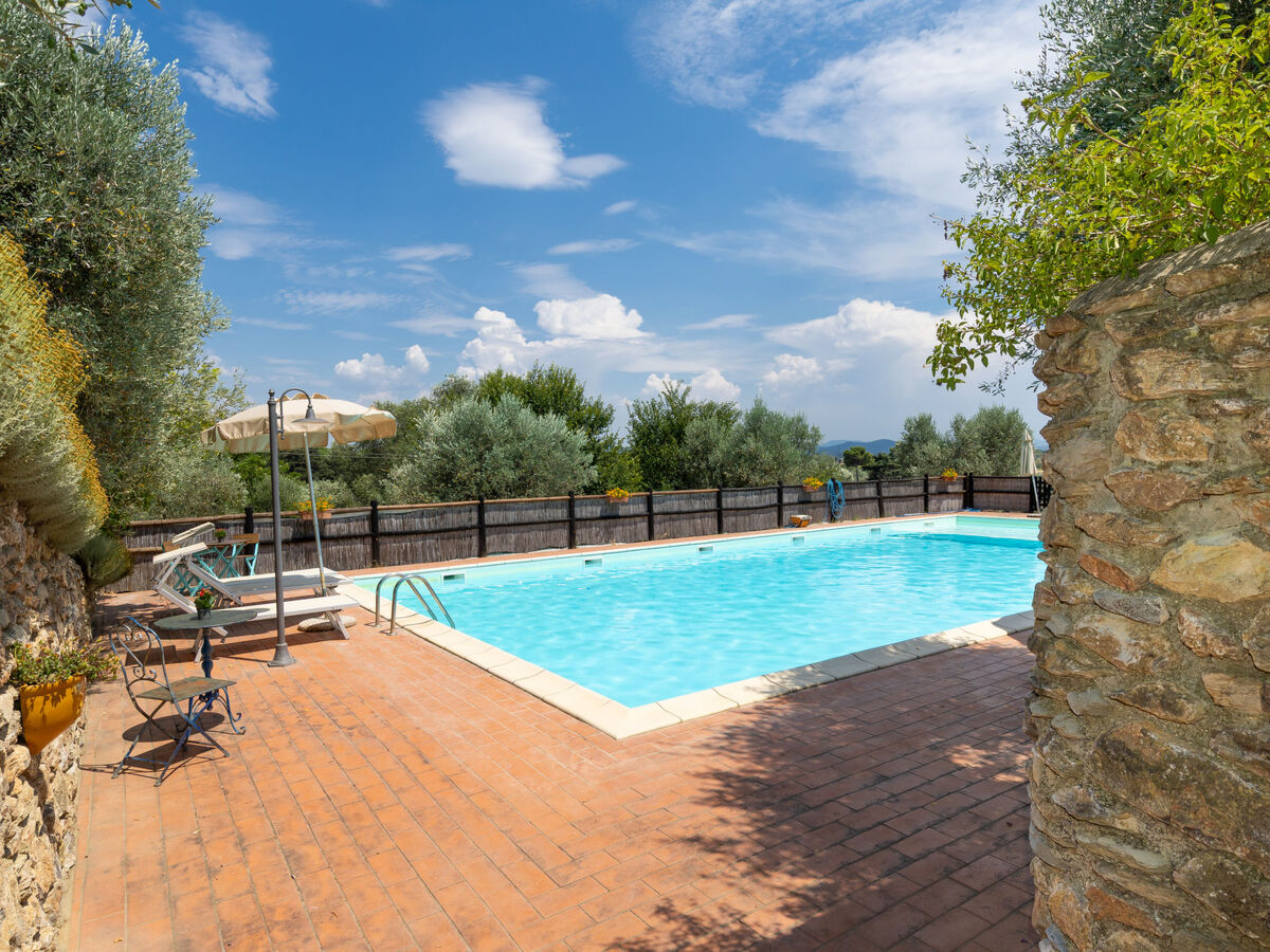 Appartement Erica à Campiglia Marittima, piscine - Photo 32